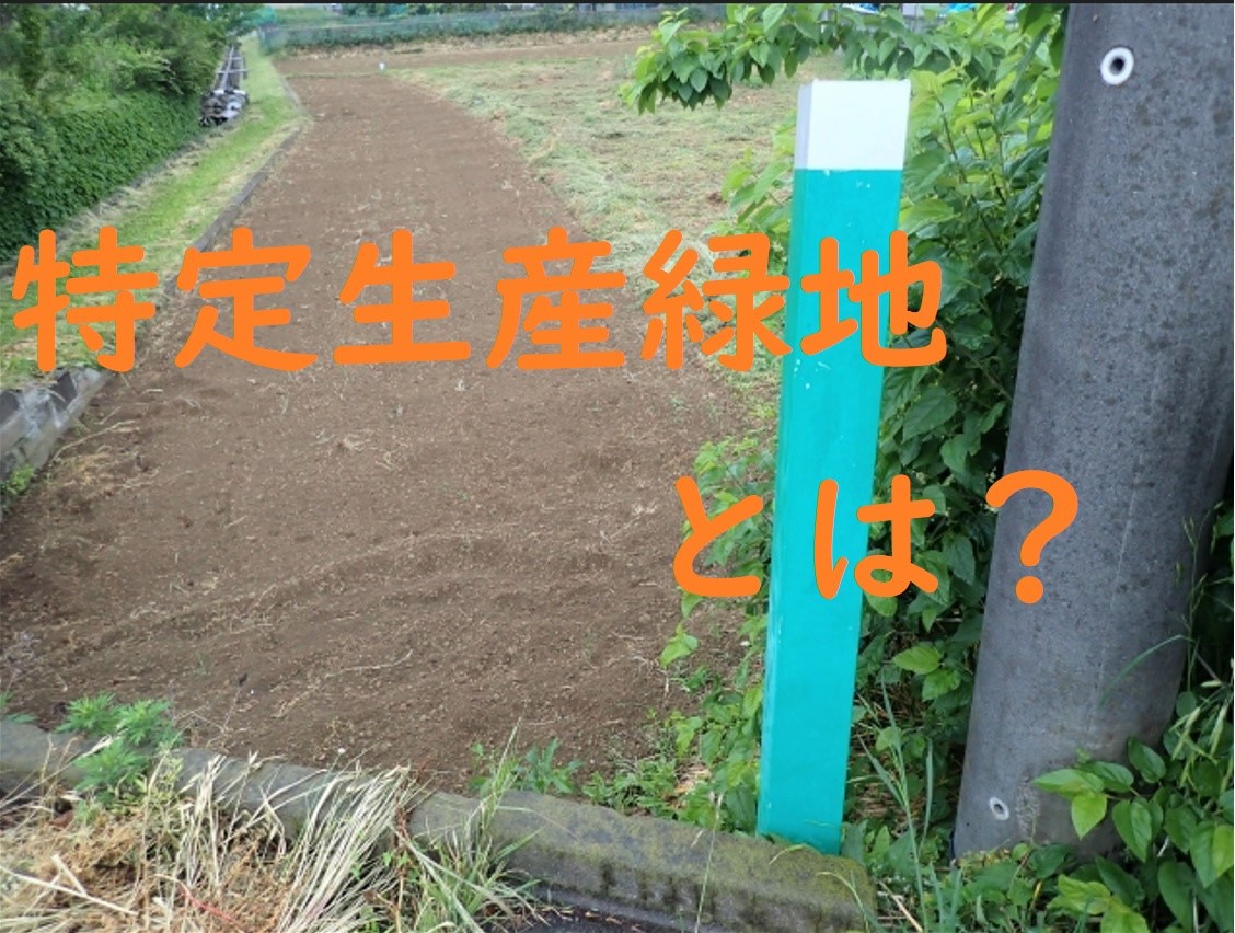 特定生産緑地ってなに！？